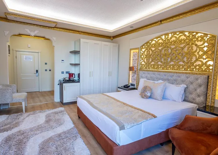 酒店 Adalya Palace 3*